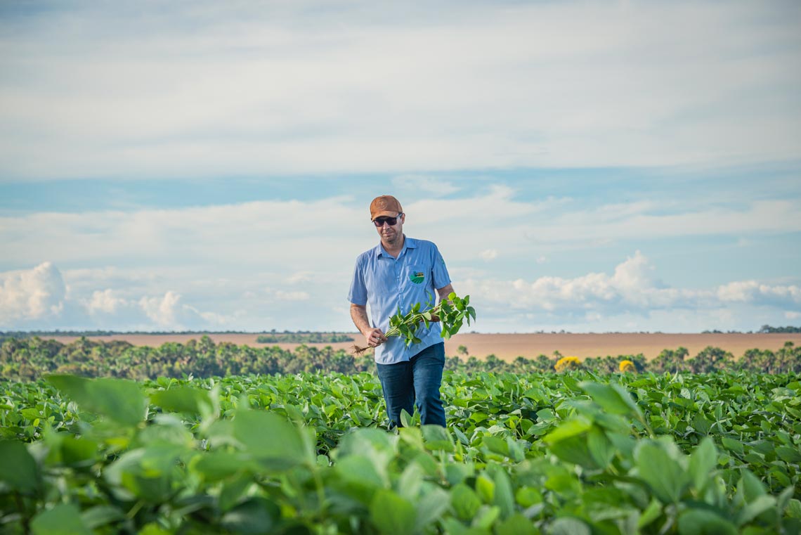 farmer looking at the crops image