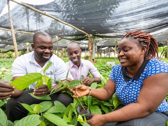 farmers inspecting crop image