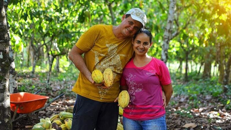  cocoa farmers 