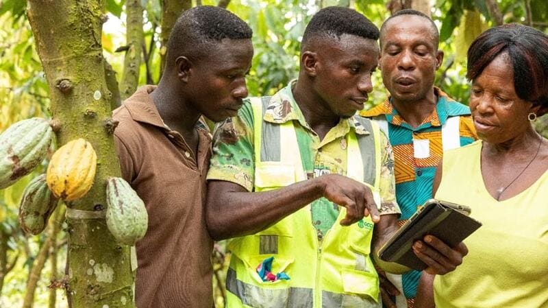 three men and a woman looking at mobile phone