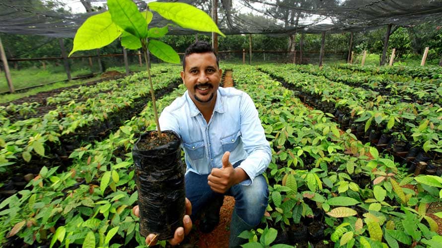 a man holding a small cocoa tree