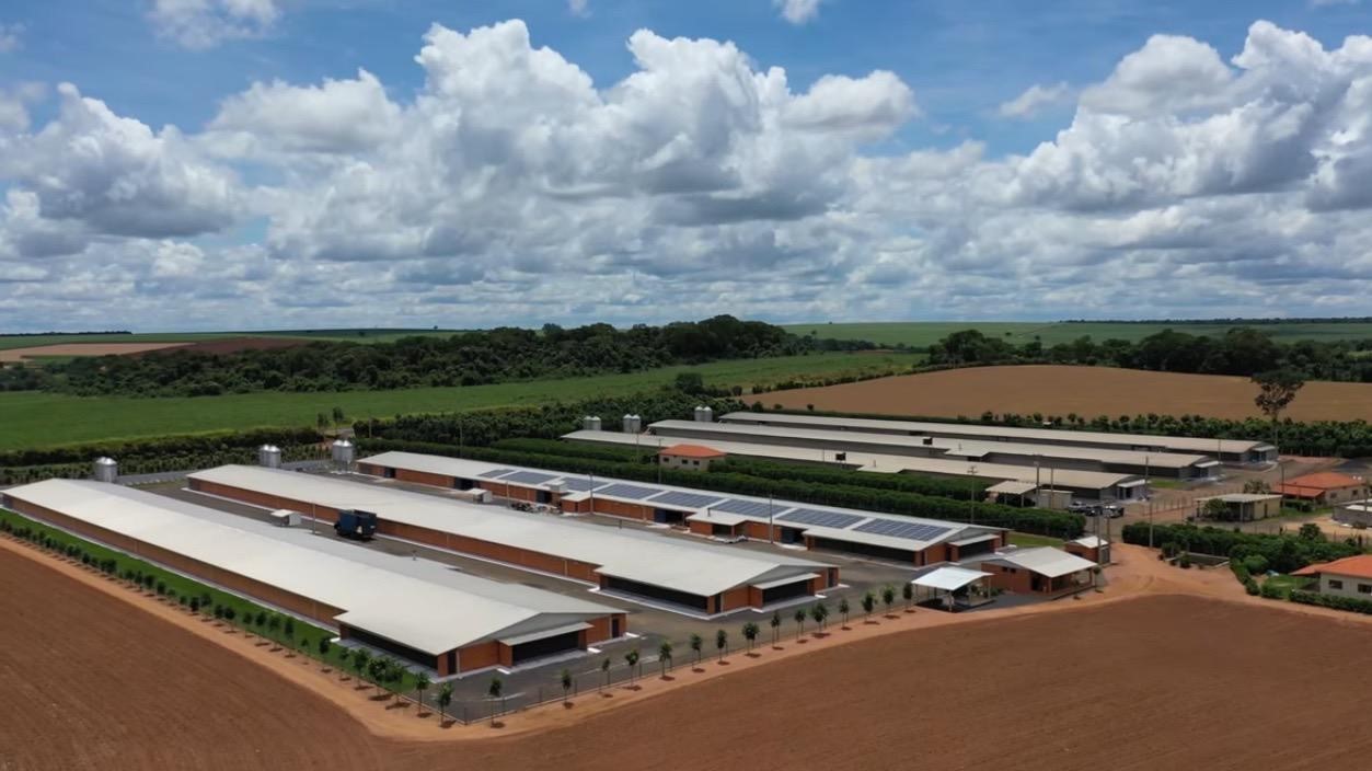 Poultry Farm Ariel View Poultry Farm Ariel View