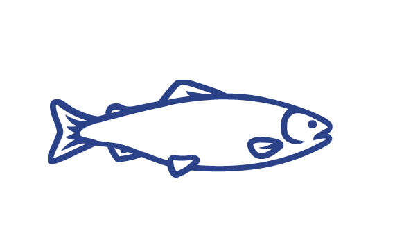 Salmon outlined icon