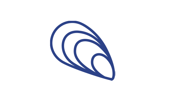 Mussel outlined icon