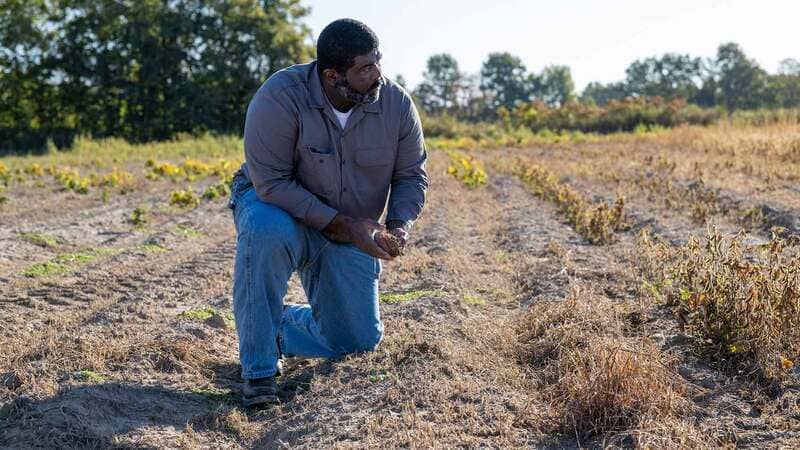 John Lee, an Arkansas farmer and participant in Cargill’s Black Farmer Equity Initiative	A Black farmer kneels on the ground on a cotton farm in Arkansas in the United States.