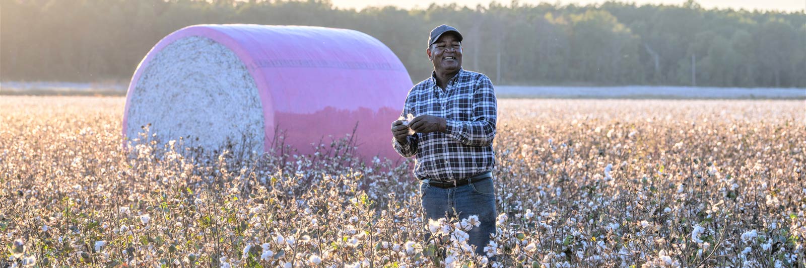 Black Farmers Food Production image