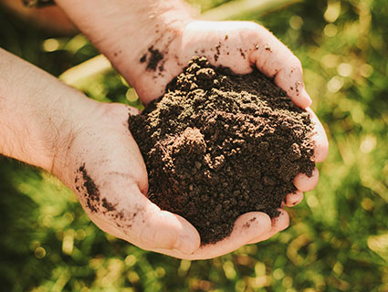 Soil Capital
