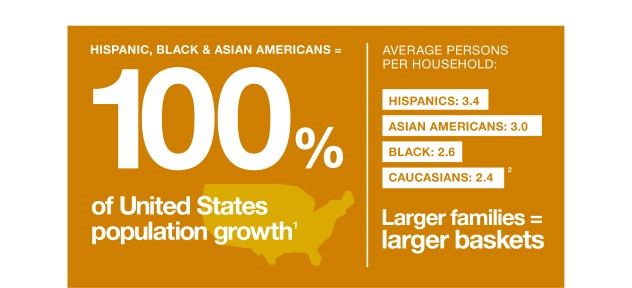 Multicultural Consumers Intro image