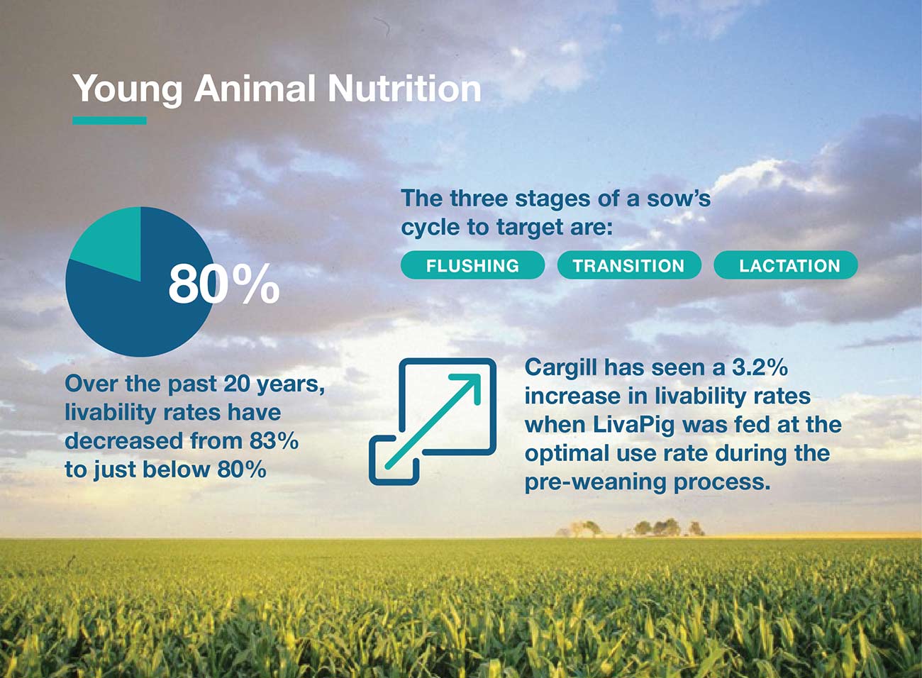 Increasing the levels of nitric oxide in a sows bloodstream