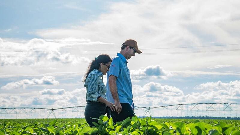 man and a woman walking in agricultural field man and a woman walking in agricultural field