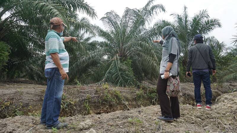 Training the local farmers and plantation owners to improve farm management practices. Training the local farmers and plantation owners to improve farm management practices.