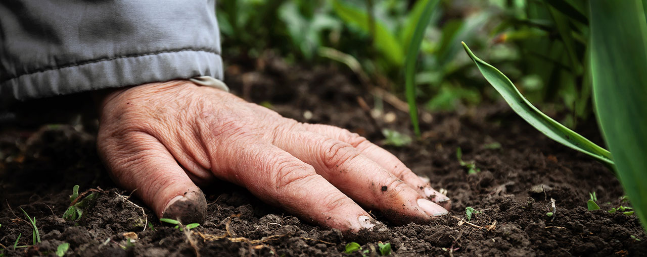 Regenerative Agriculture