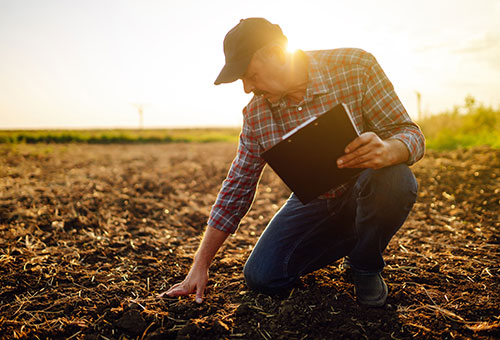 farmer touching soil