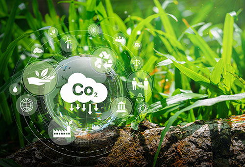 low carbon