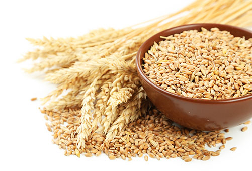 wheat