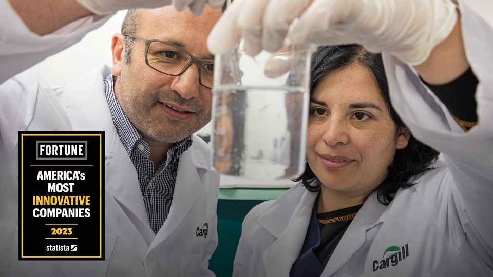 Cargill employees working in laboratory 