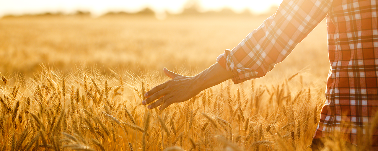 Fiber Sustainability