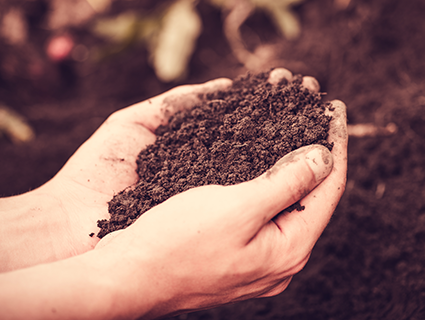Regenerative Agriculture