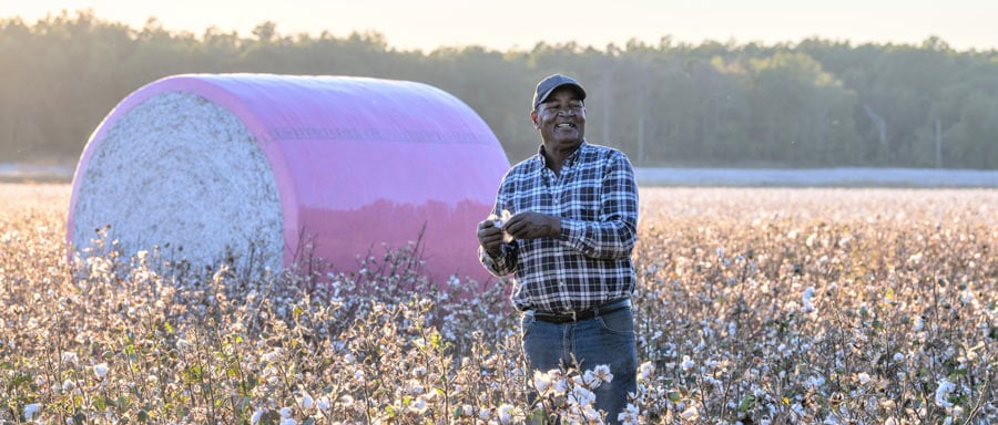 Black Farmers Food Production image Black Farmers Food Production image