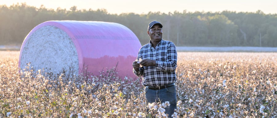 Black Farmers Food Production image