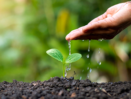 Research Project regenerative agriculture