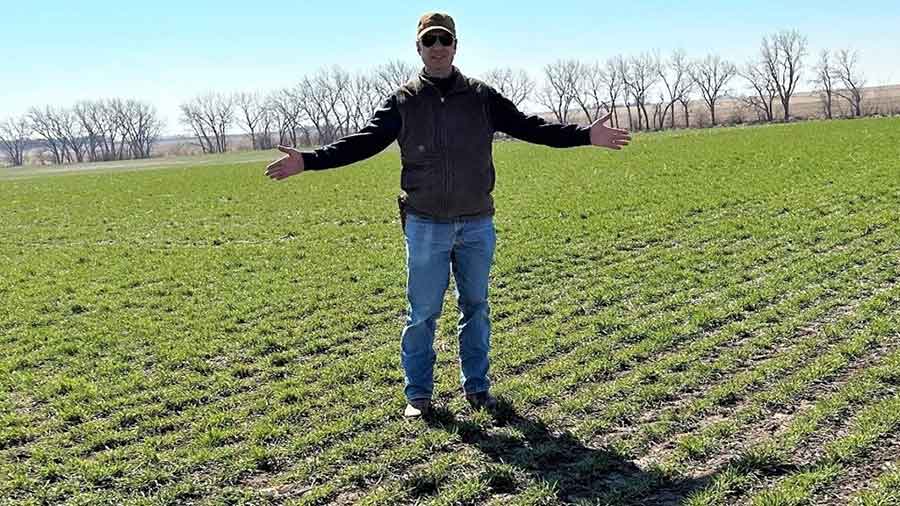 calf in foreground and farmers in background image calf in foreground and farmers in background image