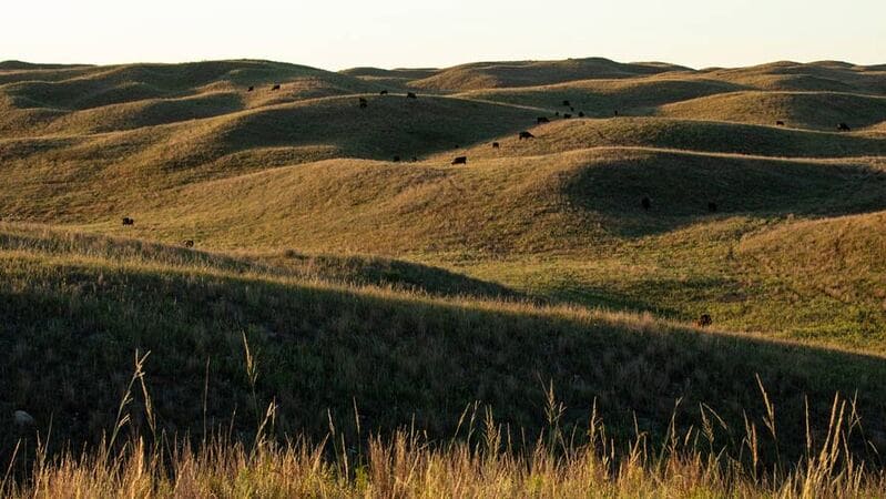 fields landscape image