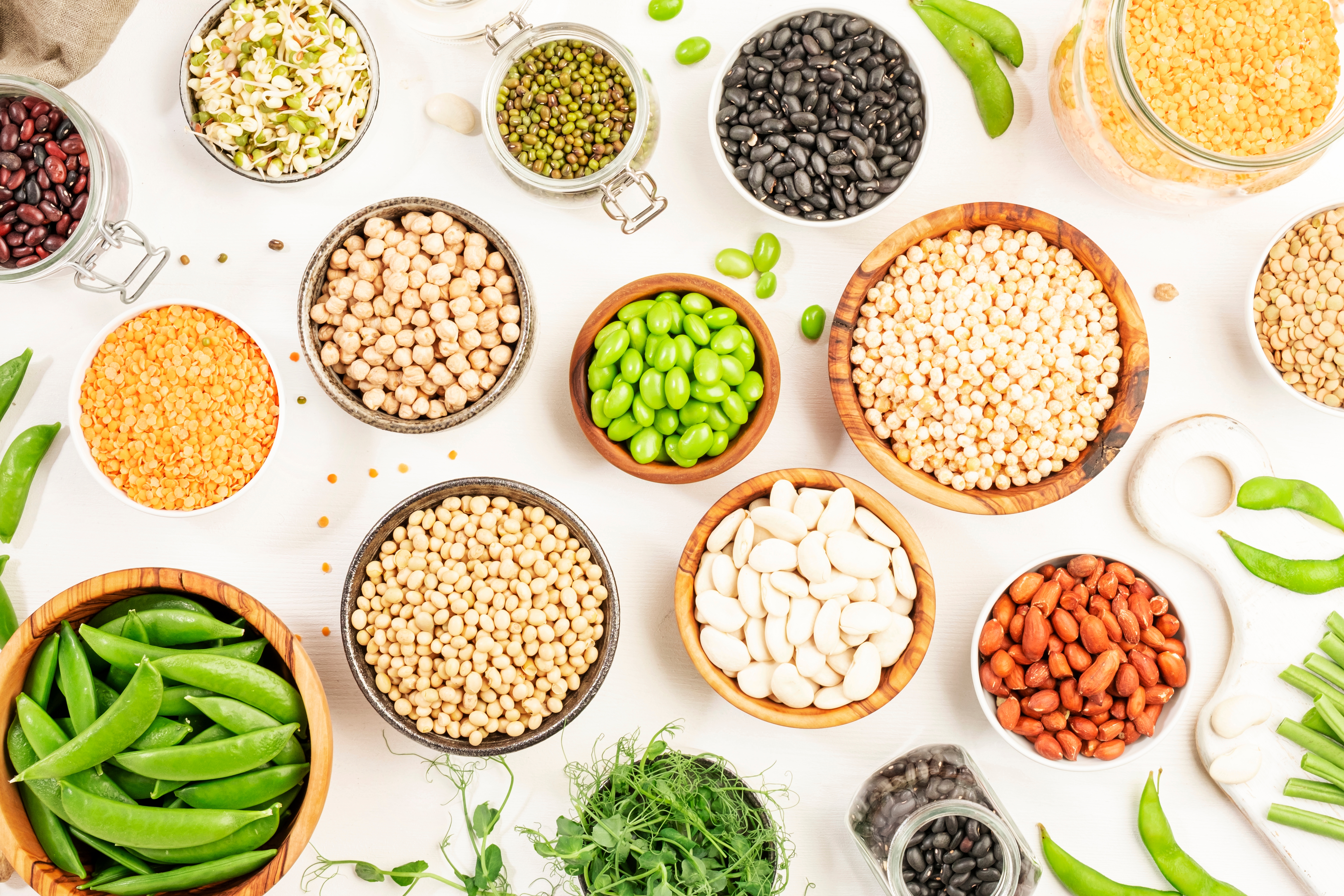 Plant proteins
