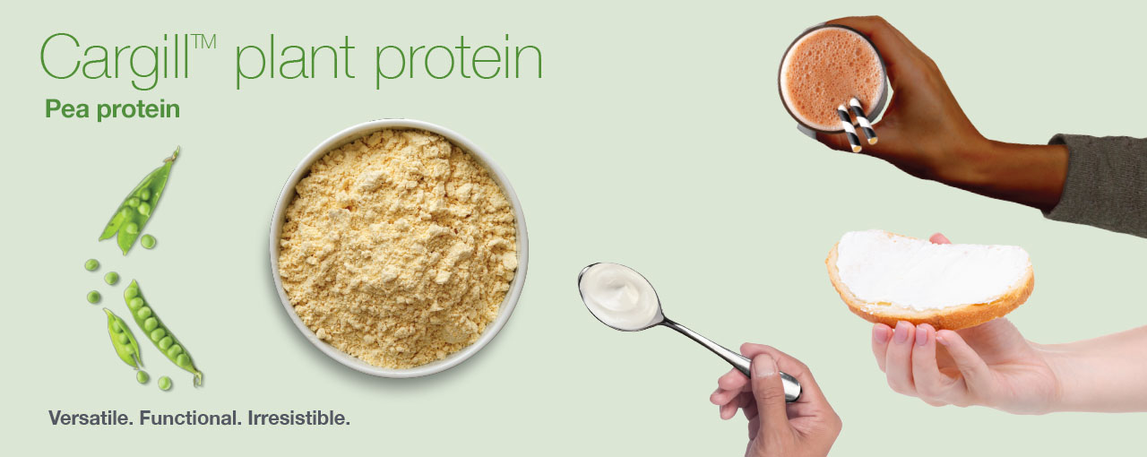 Plant protein for plant based dairy alternatives