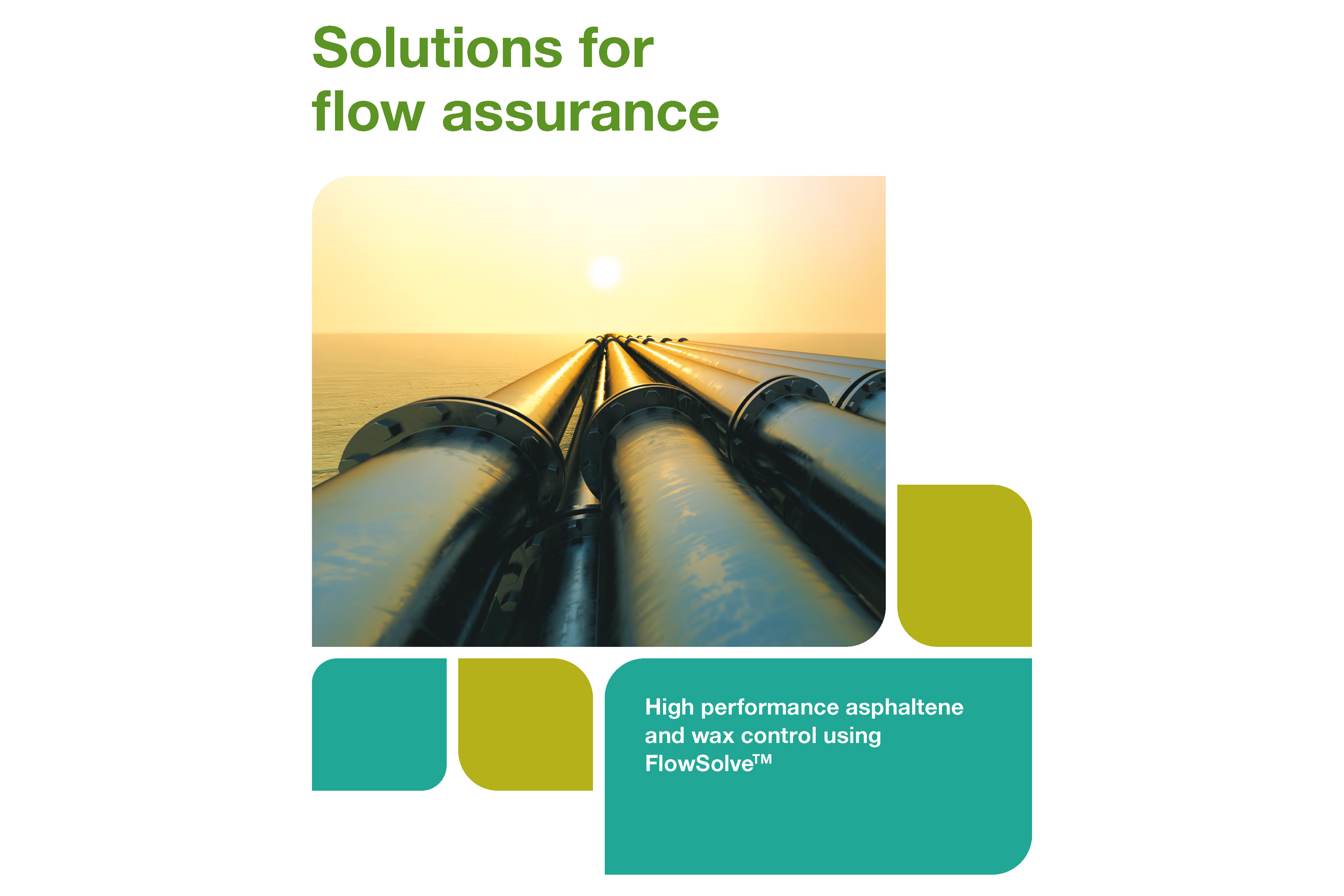 Flow Assurance Flow Assurance
