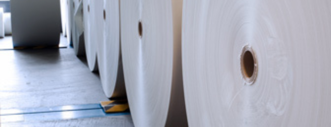 rolled up paper
