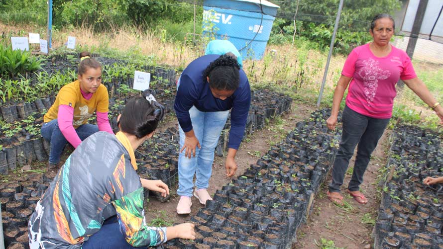 Mulheres do Xingu image