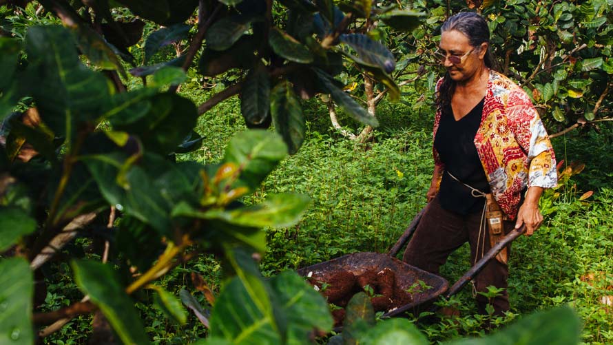 Mulheres do Xingu image