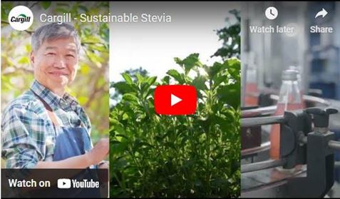 Sustainable Stevia Video
