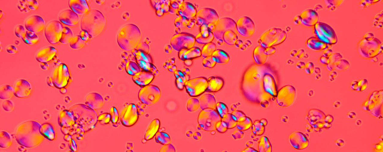 Paper and Board: Product Solutions