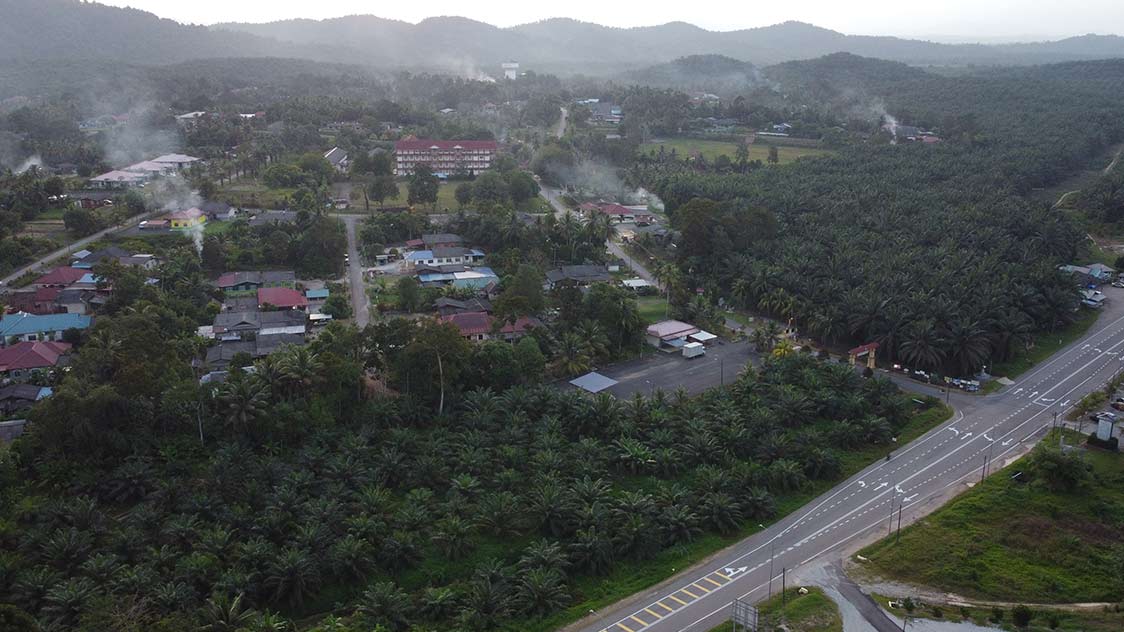 Espinha Florestal Central Sul na Malásia Espinha Florestal Central Sul na Malásia