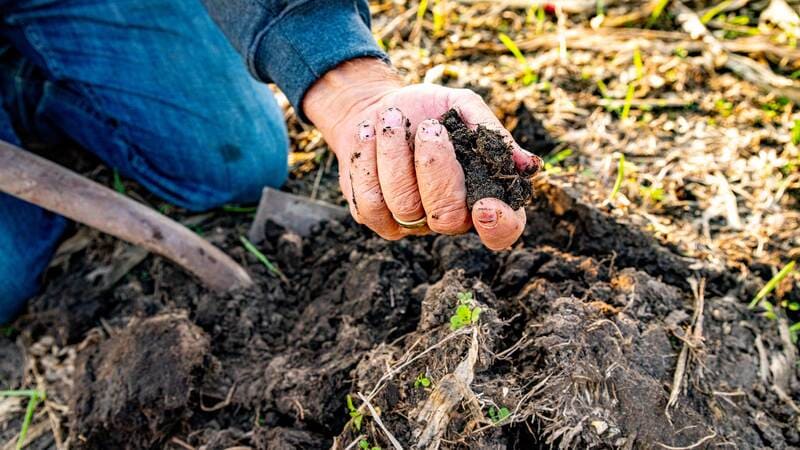 Soil health management