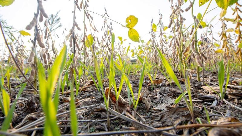 Soil health practices - cover crops, nutrient management, no-till and crop rotations Soil health practices - cover crops, nutrient management, no-till and crop rotations