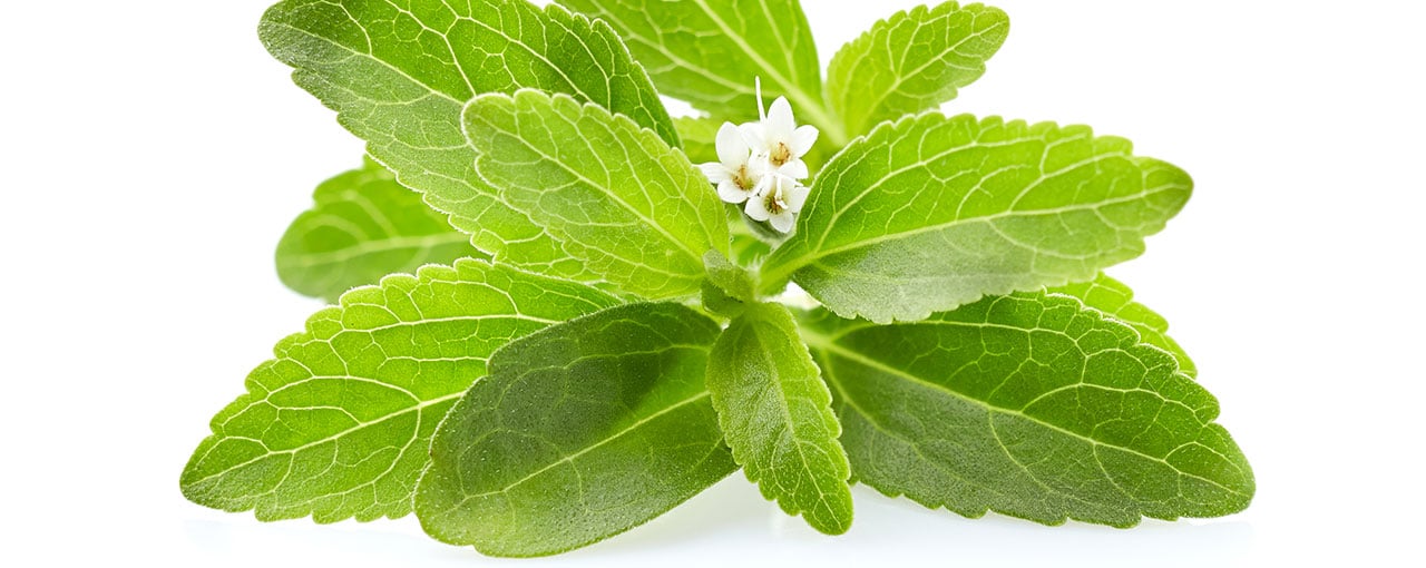 Stevia