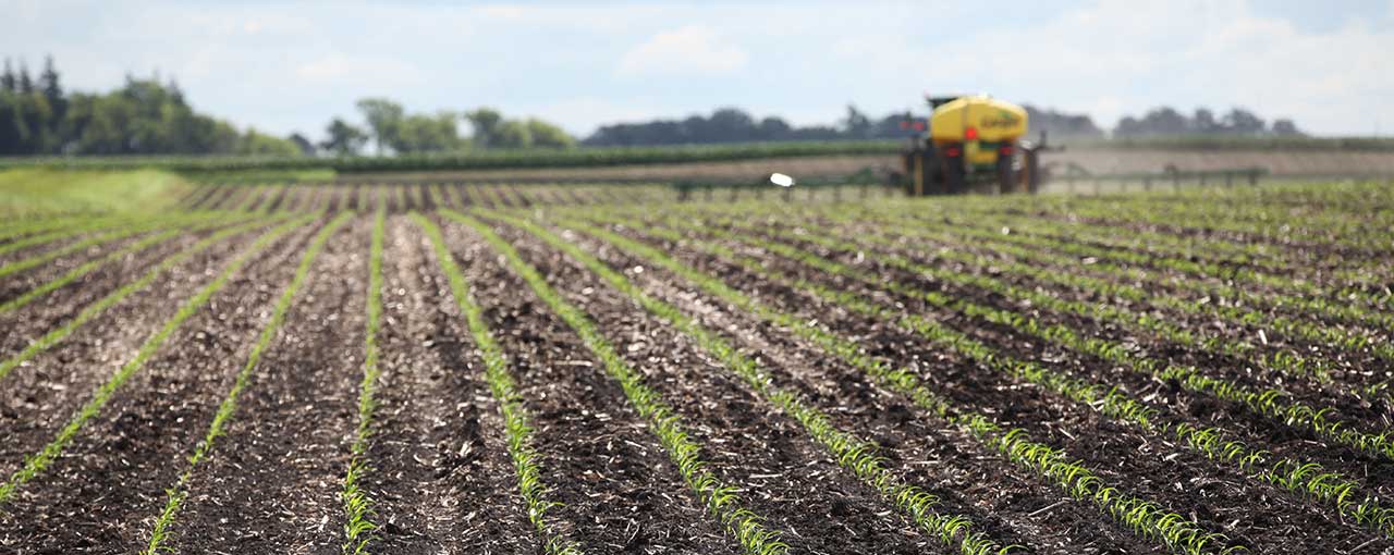 hero bio fertilizers