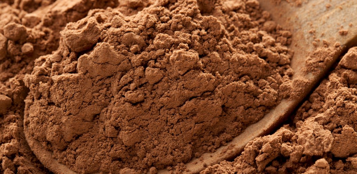 Cocoa Powder | Food Solutions