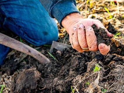 farmer holding soil in hands