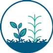 Cover crops icon