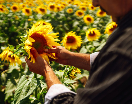Man holding sunflower