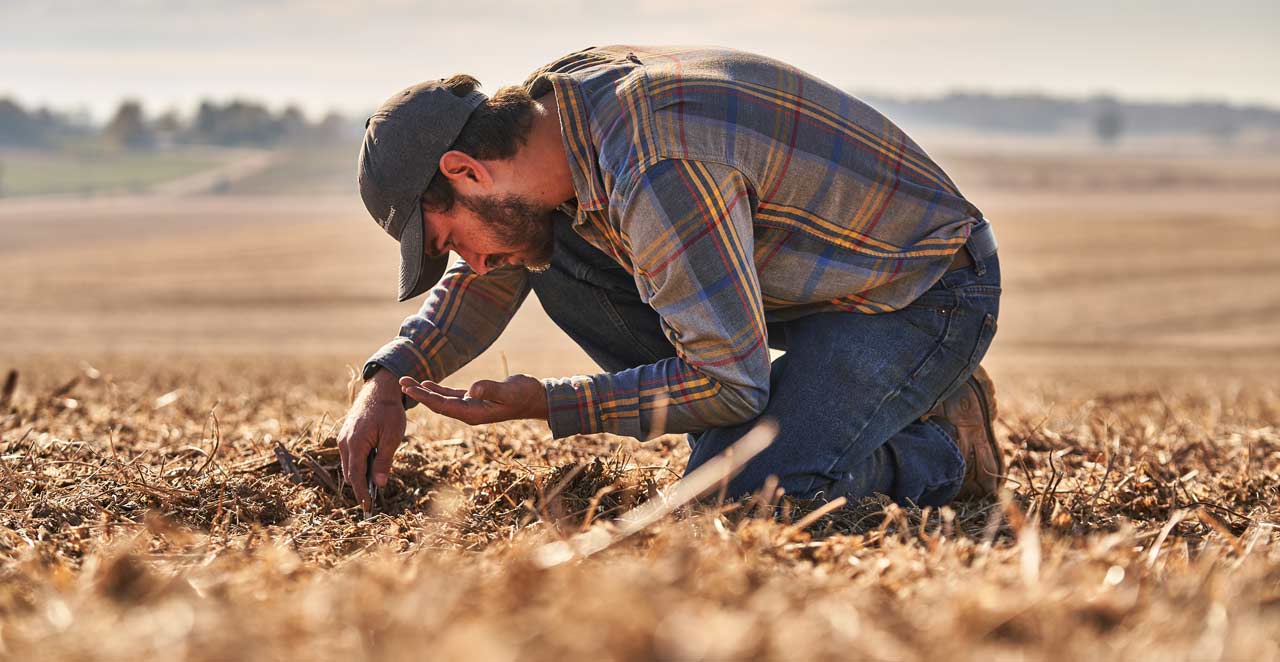 A man digging in the soil on farmland.