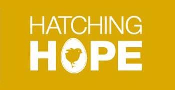 Hatching hope logo image