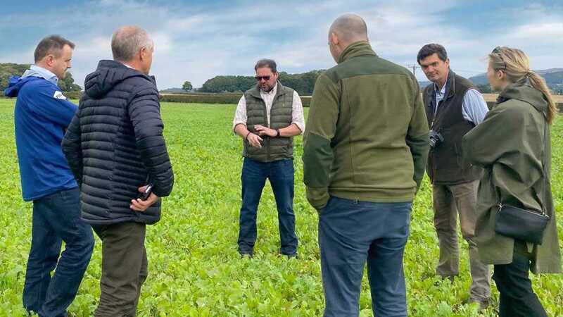 Six people stand in a circle in a field of green crops. Six people stand in a circle in a field of green crops.