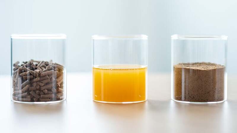 Three clear glass jars with pellets, orange liquid and sand.