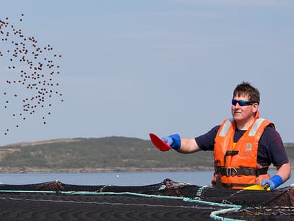 A man standing in water throws fish feed into the water.