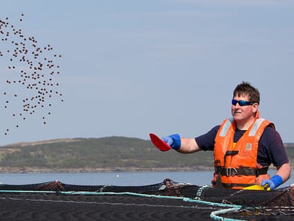 A man standing in water throws fish feed into the water. A man standing in water throws fish feed into the water.